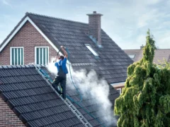 Roof cleaning