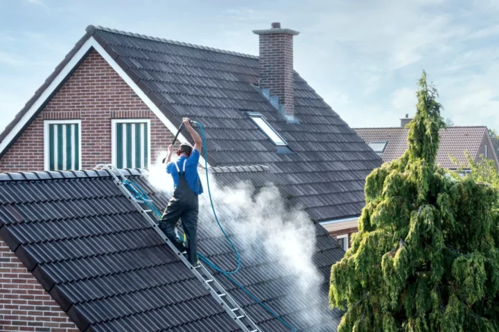 Roof cleaning