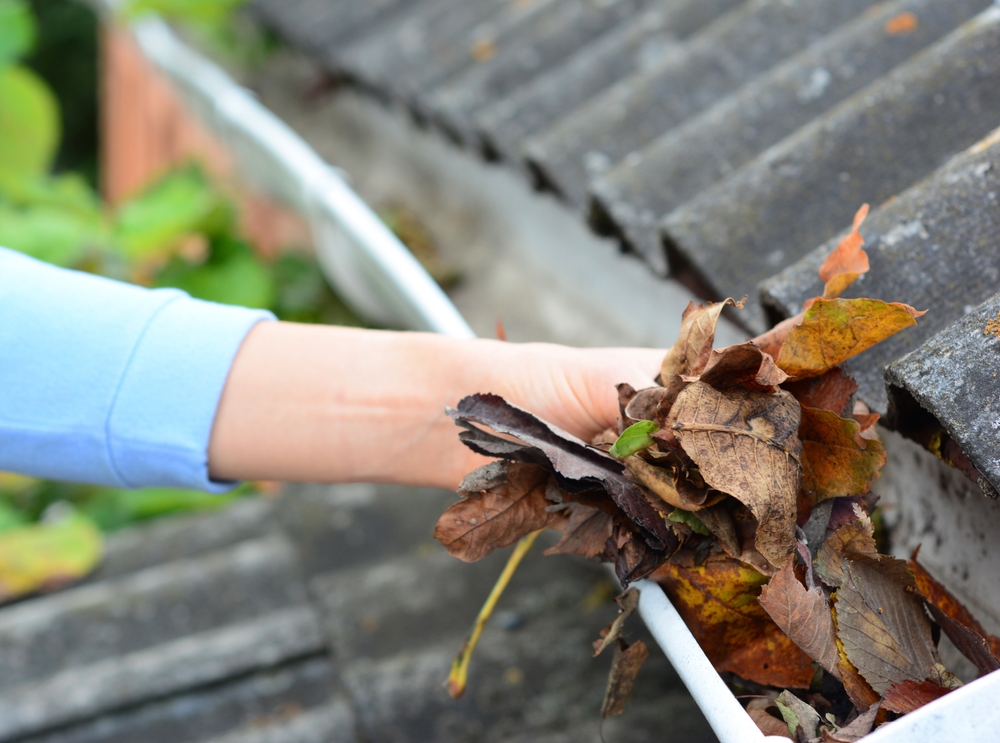 Roof Gutter Cleaning And Maintenance Cleaning A Roof Gutter 