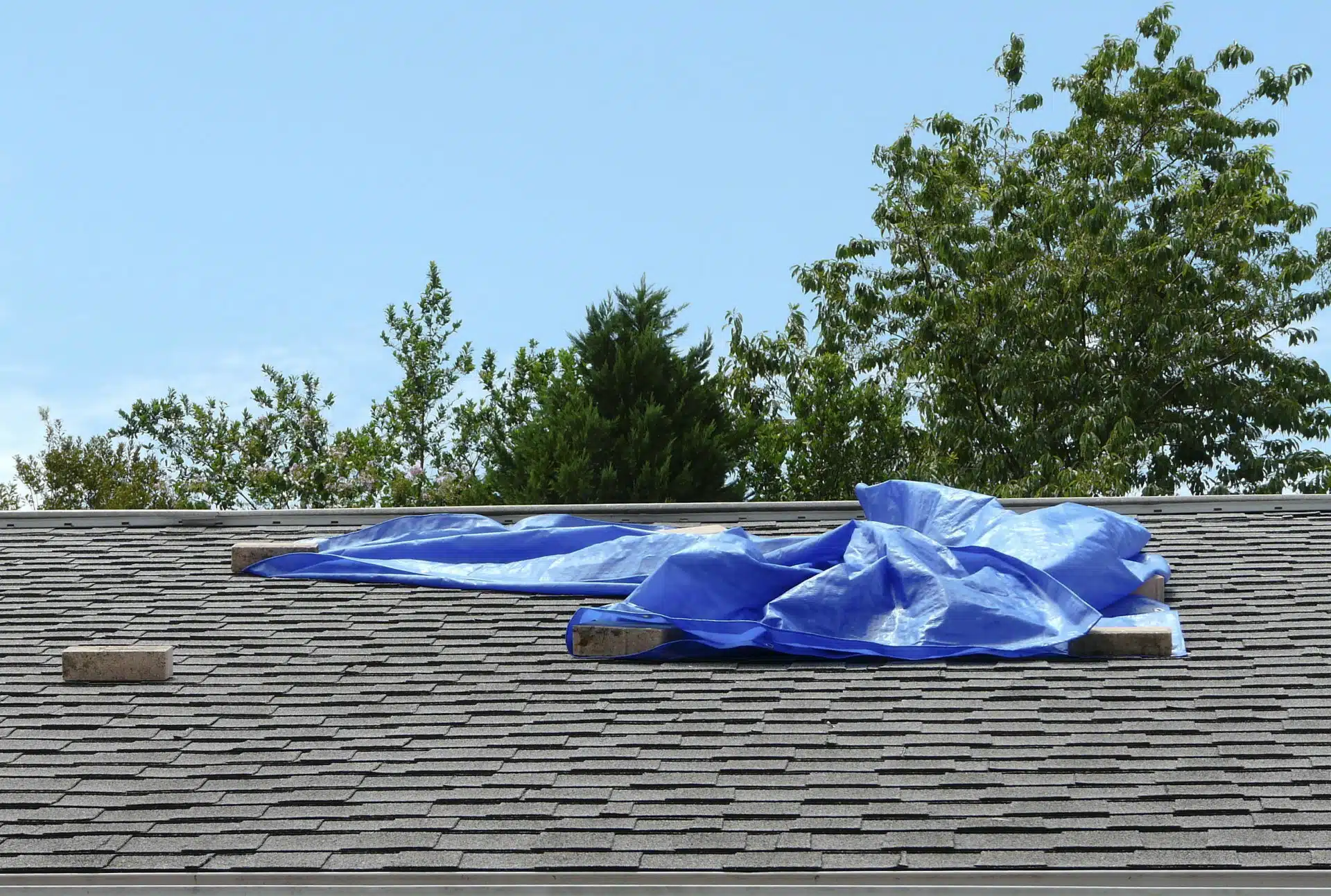 blue tarp placed on a roof