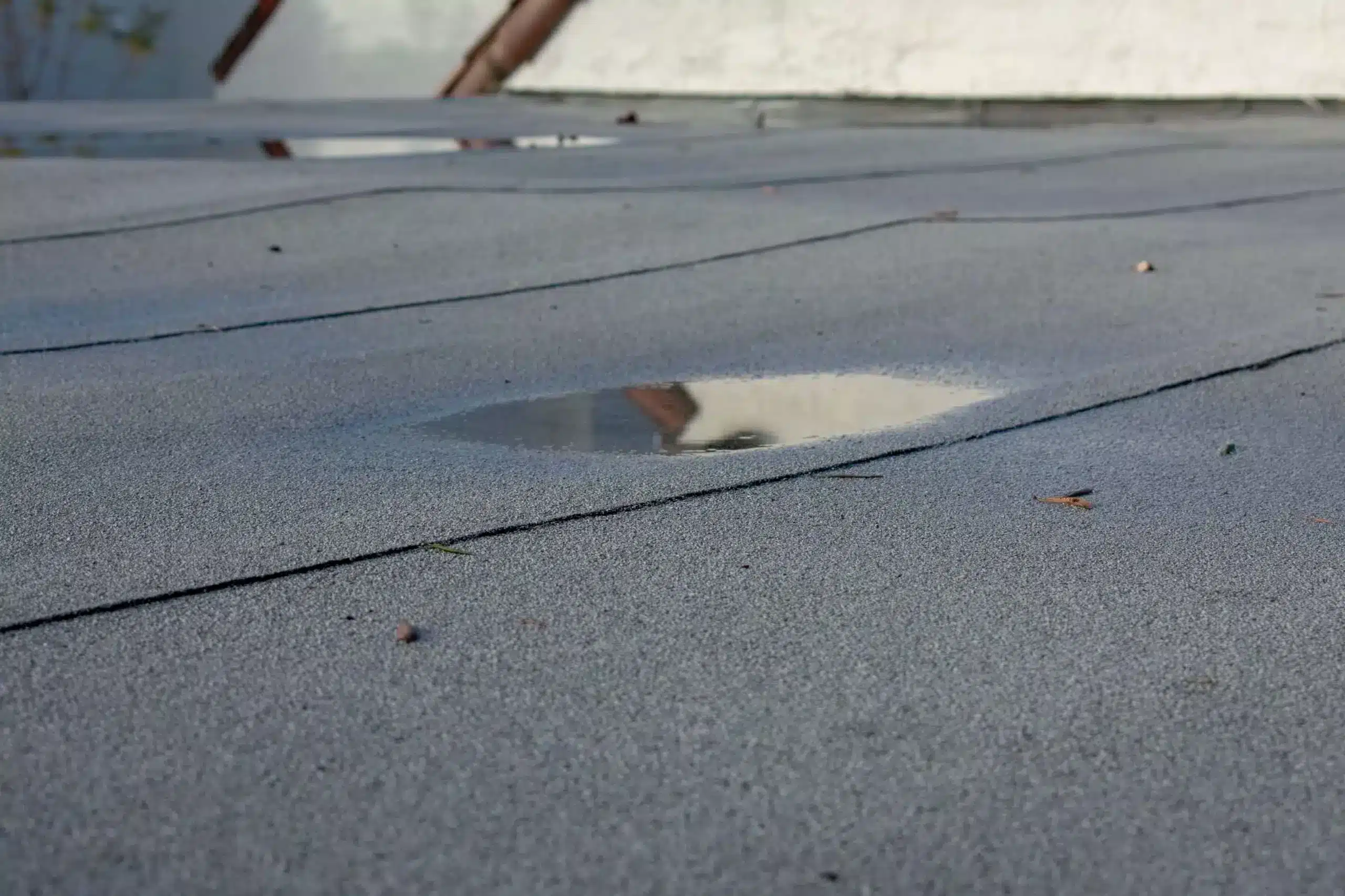 leak in a flat roof