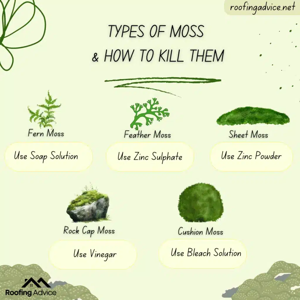 Moss Types x