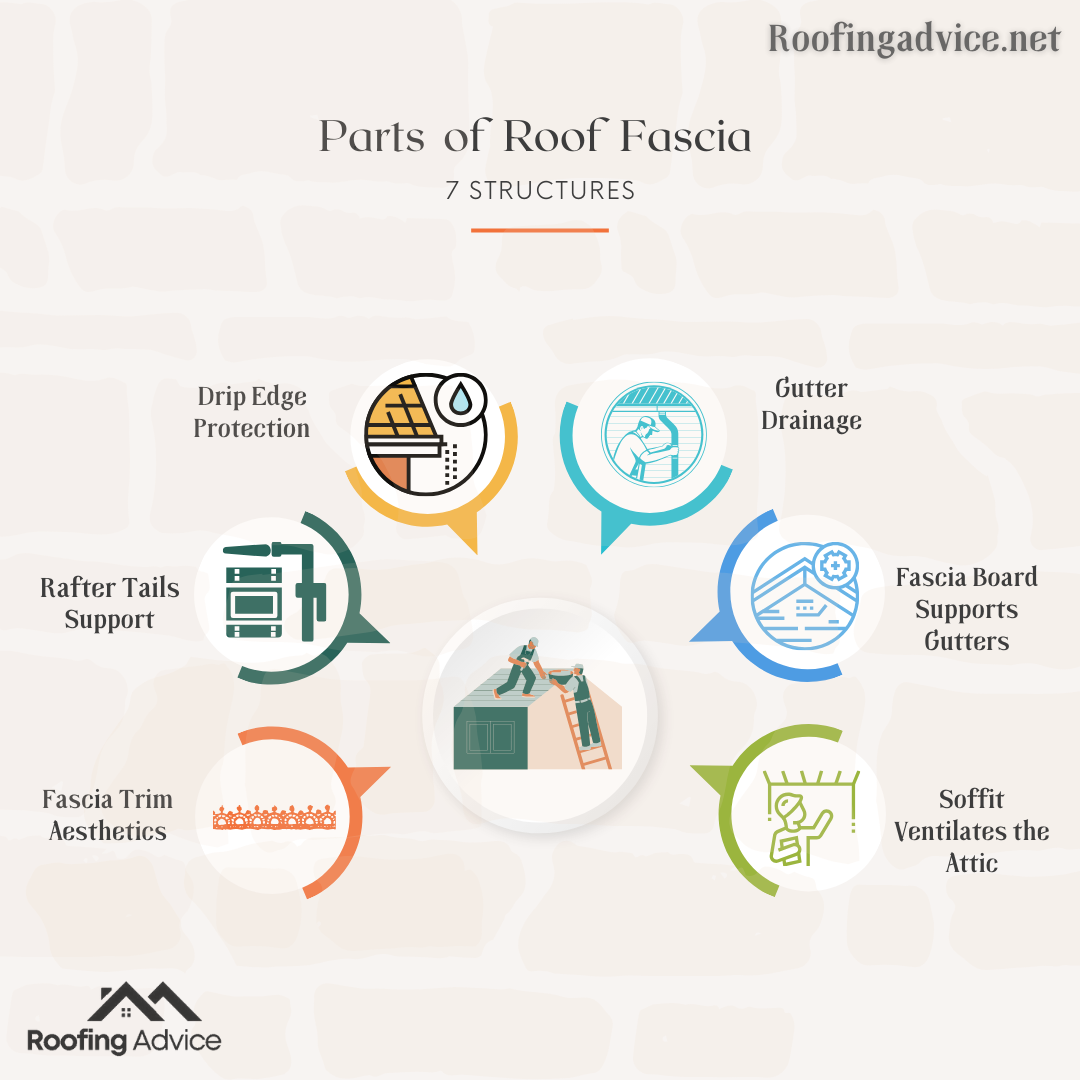 Parts of Roof Fascia