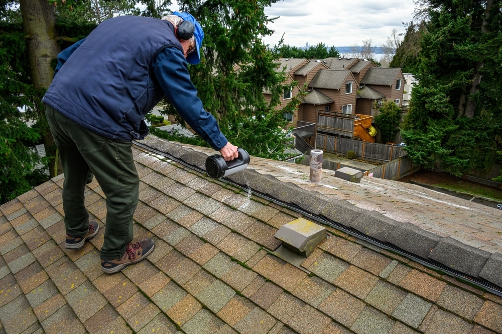 Senior Man With A Container Of Moss Killer Spreading The granules on roof