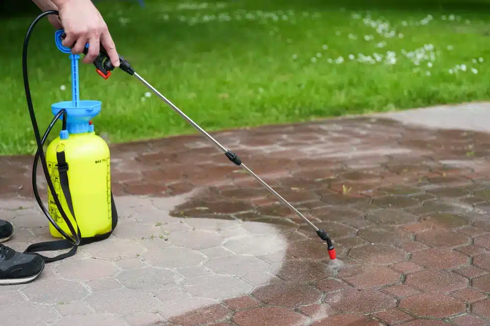 Spraying organic environmentally friendly spirit vinegar onto the natural stone pavement driveway parking lot to remove weeds and moss