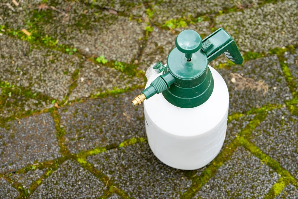 Destroy Weeds And Moss With A Spray Bottle