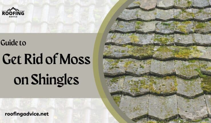 How To Deal With Green Moss on Roof Shingles?