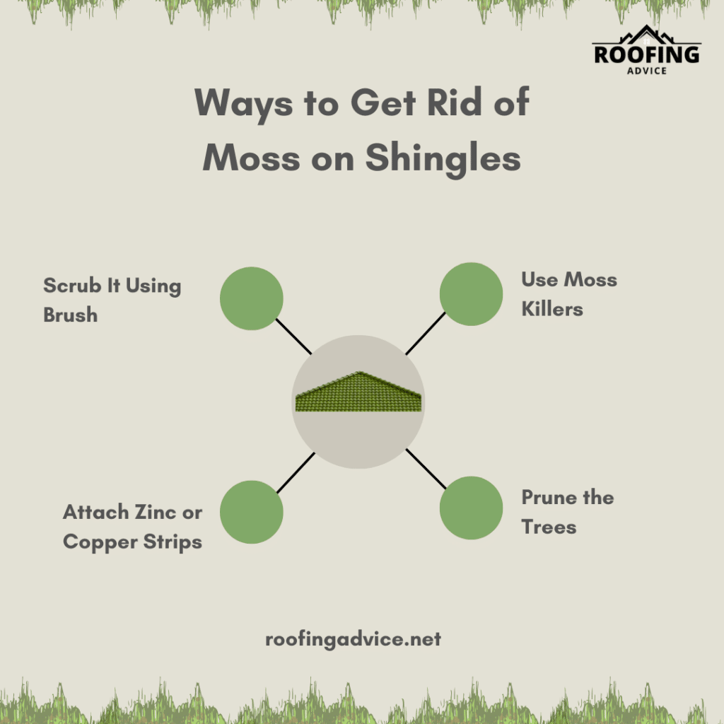 Ways to Get Rid of Moss on Shingles Infographic