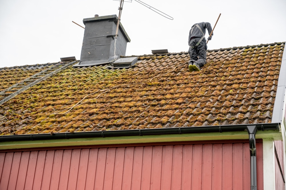 Workers Cleaning Roof Tiles Covered In Moss