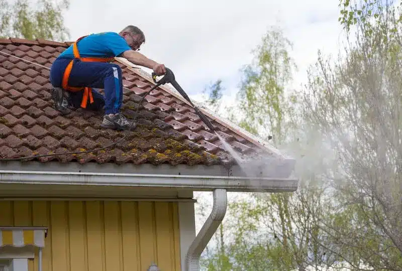 an expert roofer cleaning moss from roof shingles