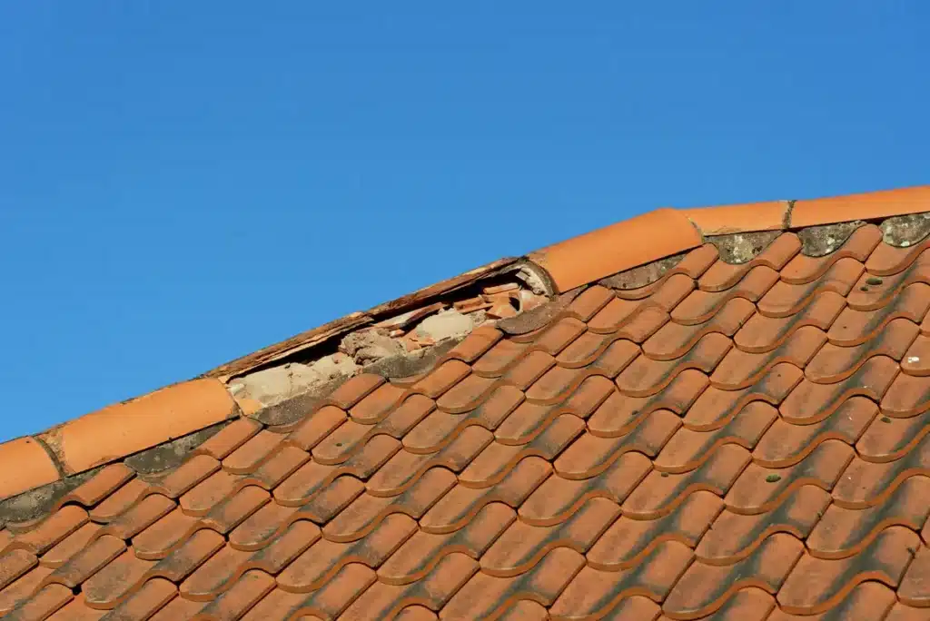 cracked roof tile