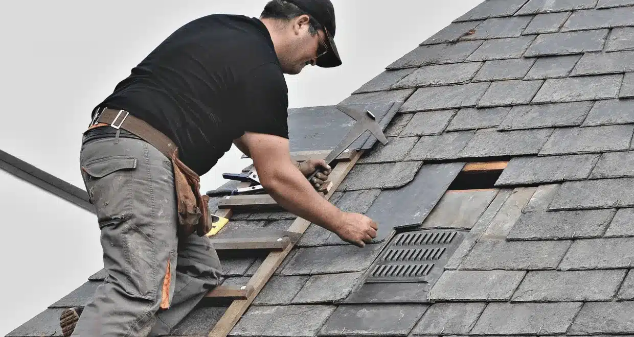 view of a person looking for missing shingles on a roof