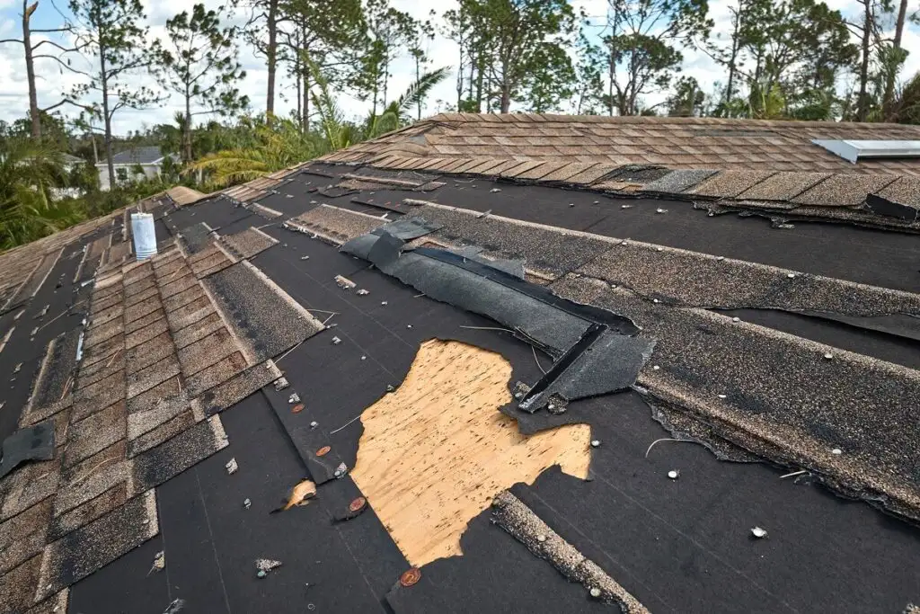 view of a roof with missing shingles