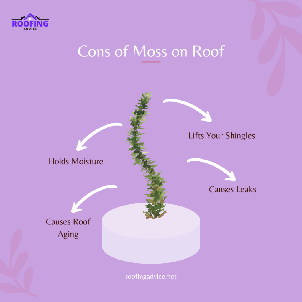 Cons of Moss on Roof Cons of Moss on Roof