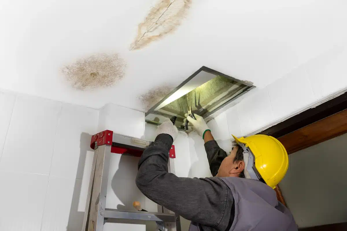 Person inspecting ceiling for roof leak with visible water stains and mold