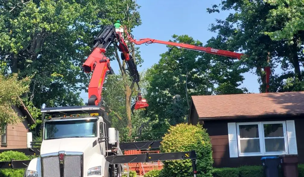 Tree trimming using a crane lift near a house to remove overhanging branches Tree trimming using a crane lift near a house to remove overhanging branches