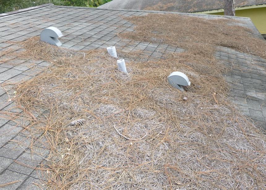 zoomed view of debris on roof zoomed view of debris on roof